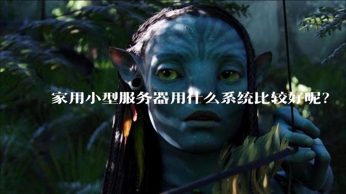 家用小型服务器用什么系统比较好呢？